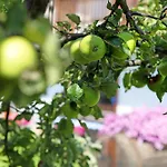 Casa Sabrina - Appartamento Bianco